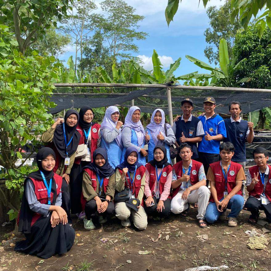 Budidaya Kolam Terpadu Ikan dan Sayuran